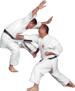 Karate PNG-55485